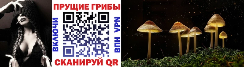 Псилоцибиновые грибы ЛСД  Березники 
